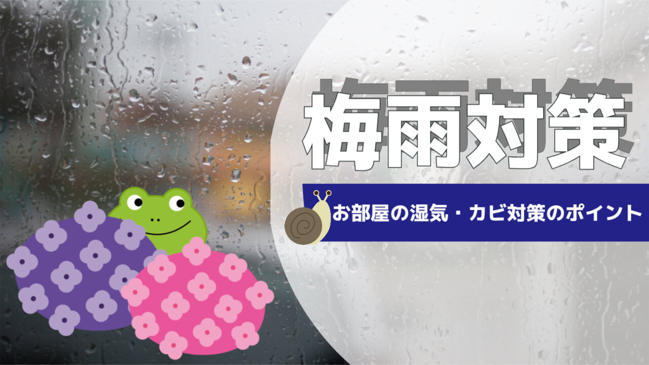 「梅雨目前!賃貸でもできる湿気&カビ対策5選」
