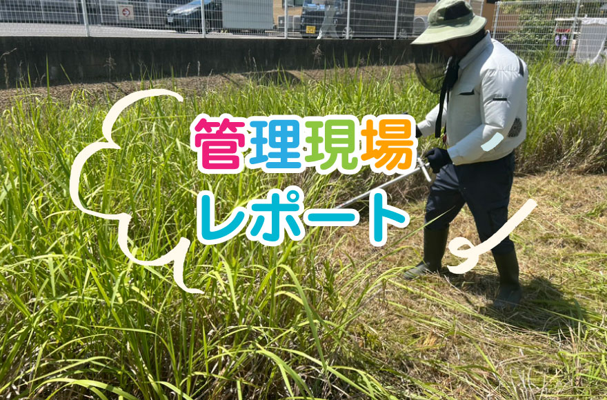 【管理現場レポート】