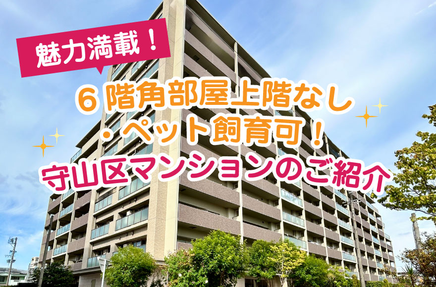 魅力満載! 6階角部屋上階なし・ペット飼育可! 守...